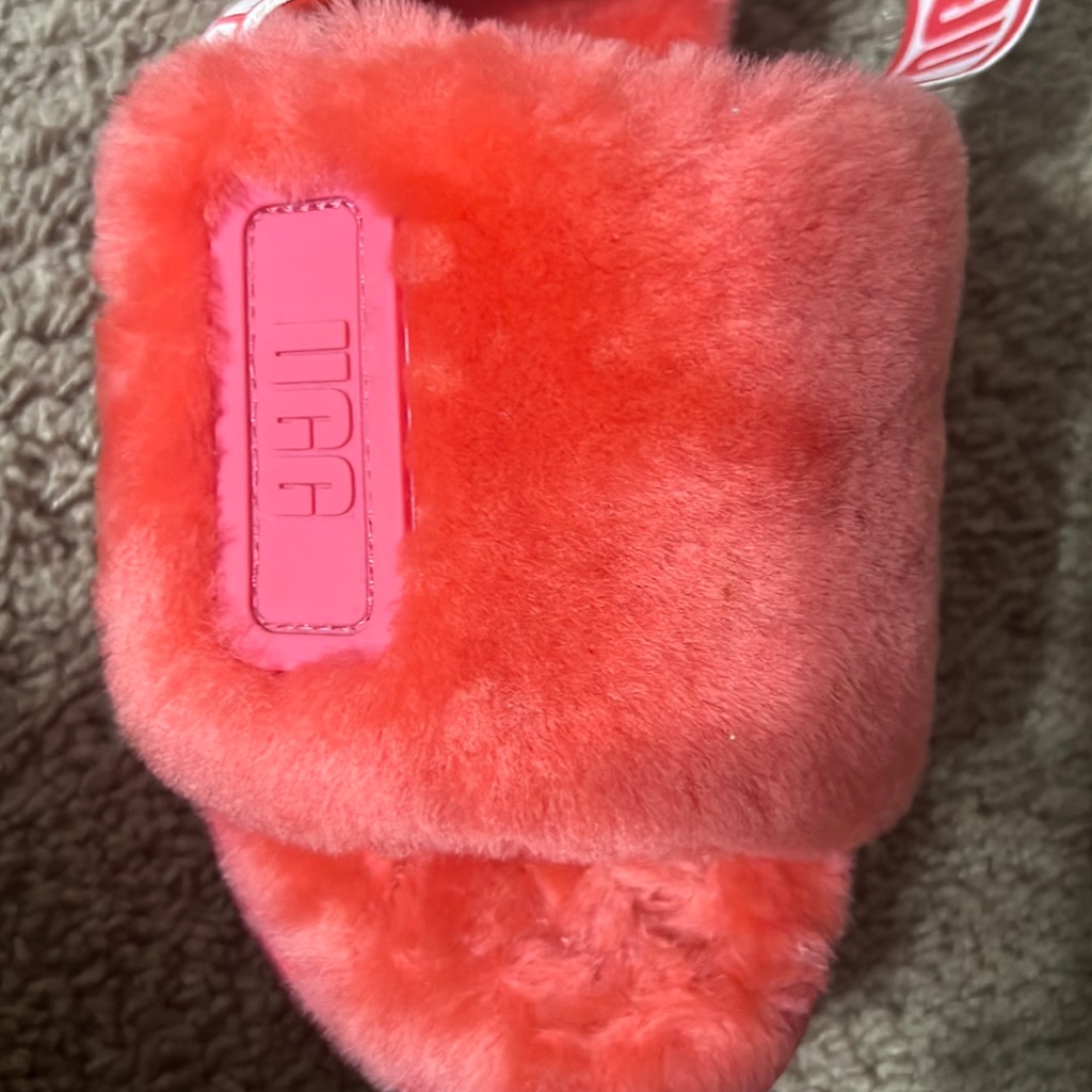 Slides